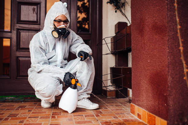 Attic and Crawl Space Rodent Treatment in Heppner