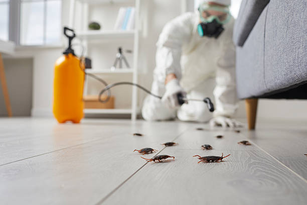 Commercial Rodent Management in Heppner